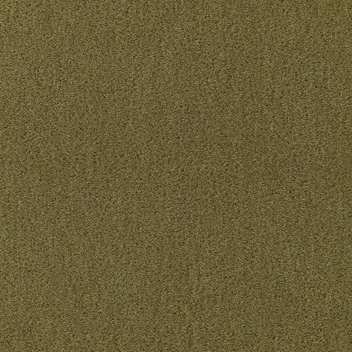 Palermo Mohair Velvet Olive 64938 by Schumacher Fabric MOHAIR VELVET PROGRAM MOHAIR 51% COTTON 49% NETHERLANDS MARTINDALE 90,000 </p><p>Repeat: Horizontal: and Vertical: 55 - Fabric Carolina -