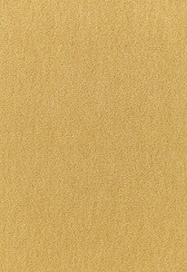 Palermo Mohair Velvet Absinthe 64939 by Schumacher Fabric