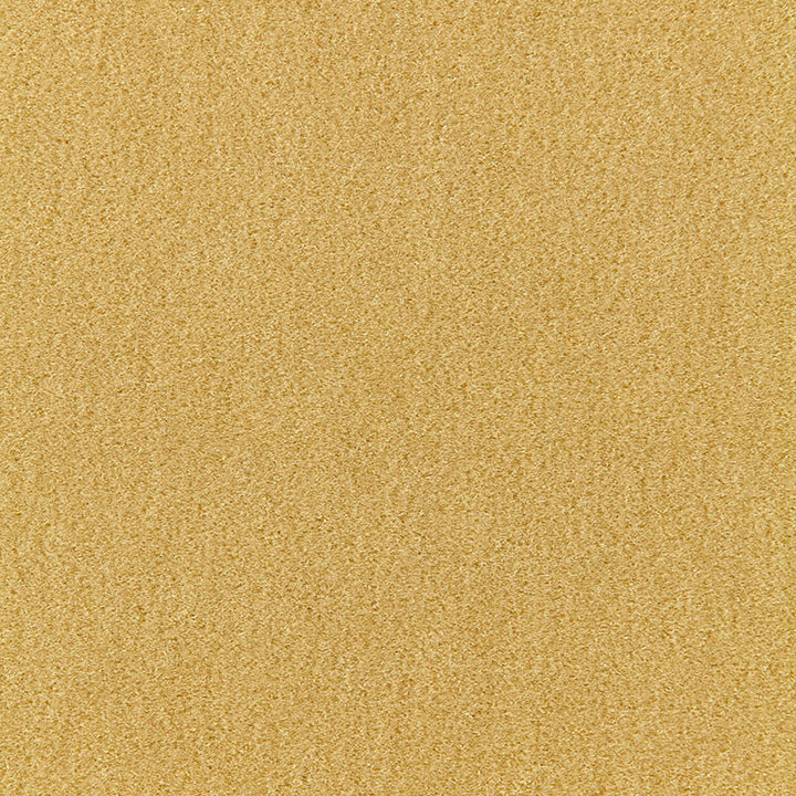 Palermo Mohair Velvet Absinthe 64939 by Schumacher Fabric MOHAIR VELVET PROGRAM See Sample NETHERLANDS HEAVY DUTY </p><p>Repeat: Horizontal: - and Vertical: - 55" WIDE (140CM) - Fabric Carolina -