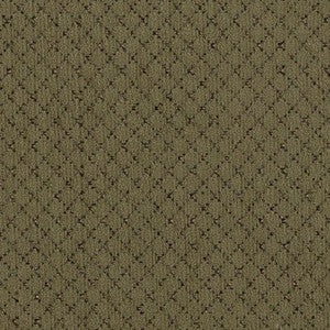 6496 Cypress by Charlotte Fabric