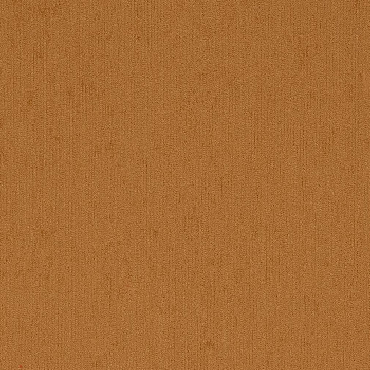 6501 Ginger by Charlotte Fabric Chenilles, Chenille Classics III & Glorious Gardens 84% Polyester, 16% Olefin Made In USA Exceeds 100,000 Wyzenbeek Rubs (Heavy Duty) No Repeat 54 Inches - Fabric Carolina -