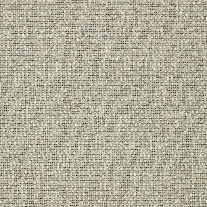 Chaumont Silk Weave Haze 65072 by Schumacher Fabric AU NATUREL See Sample INDIA LIGHT DUTY </p><p>Repeat: Horizontal: - and Vertical: - 53" WIDE (135CM) - Fabric Carolina -