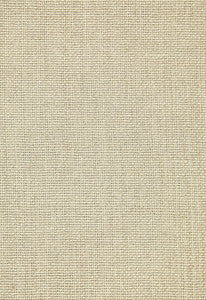 Chaumont Silk Weave String 65073 by Schumacher Fabric