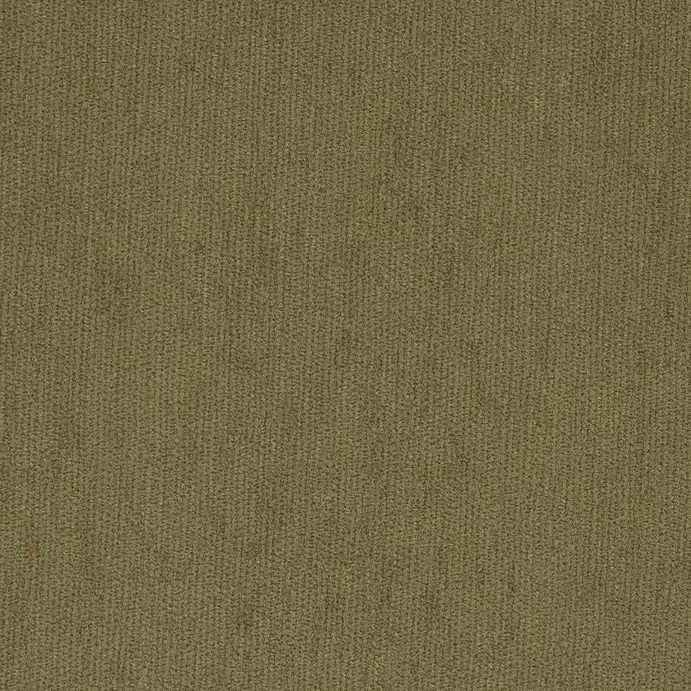 6509 Sage by Charlotte Fabric Chenilles, Chenille Inspirations III 84% Polyester, 16% Olefin Made In USA Exceeds 100,000 Wyzenbeek Rubs (Heavy Duty) No Repeat 54 Inches - Fabric Carolina -