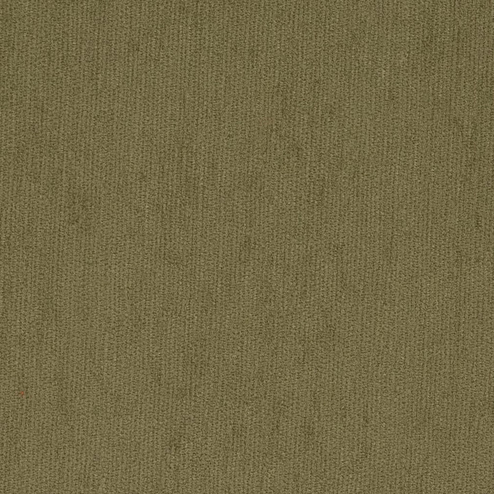 6509 Sage by Charlotte Fabric Chenilles, Chenille Inspirations III 84% Polyester, 16% Olefin Made In USA Exceeds 100,000 Wyzenbeek Rubs (Heavy Duty) No Repeat 54 Inches - Fabric Carolina -