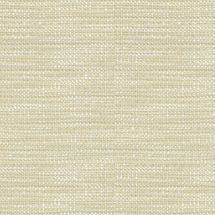 Tabby Birch 652852 by Waverly Fabric - Base:60%Polyester 40%Rayon CHINA 36000 Horizontal: 1.5 and Vertical: 0.25 54 - Fabric Carolina -