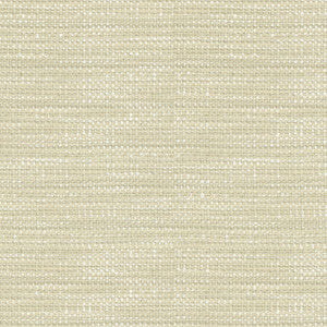 TABBY BIRCH 652852 by Waverly Fabric