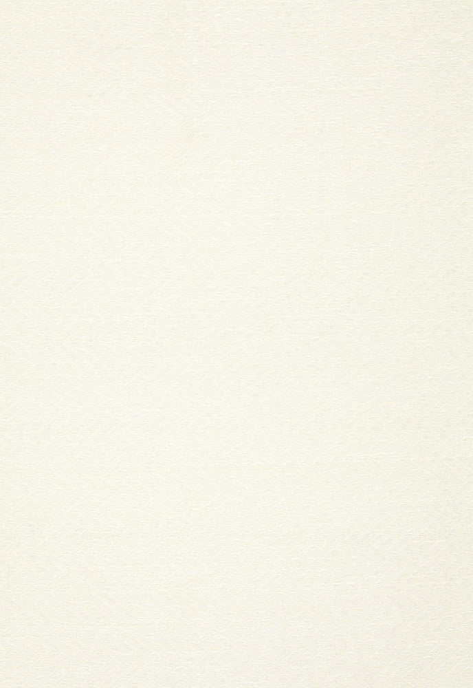 Lompret Linen Herringbone Chalk 65302 by Schumacher Fabric Essentials-Sheers-Casements 100% Linen - Horizontal: 3/8- and Vertical: 1.75 120 - Fabric Carolina -