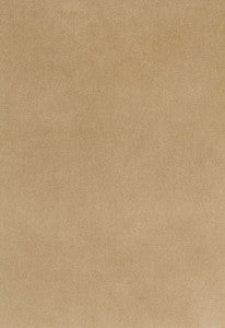 Bayeux Velvet Putty 65311 by Schumacher Fabric