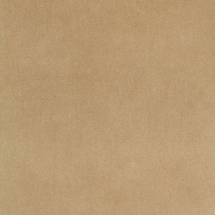 Bayeux Velvet Putty 65311 by Schumacher Fabric AU NATUREL COTTON 66% POLYESTER 24% ITALY MARTINDALE 50,000 </p><p>Repeat: Horizontal: and Vertical: 57 - Fabric Carolina -