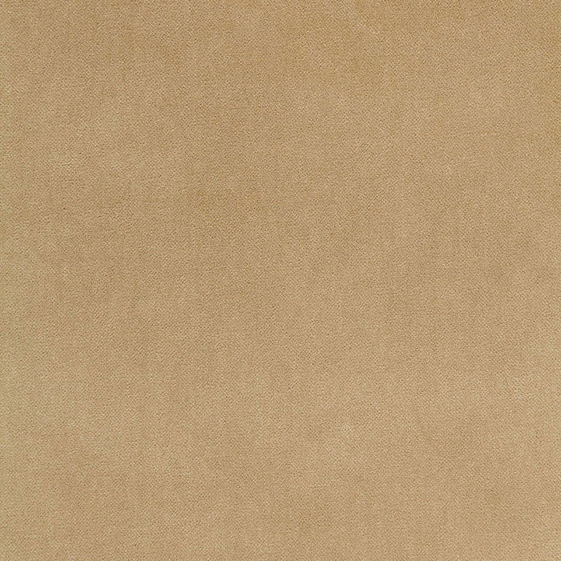 Bayeux Velvet Putty 65311 by Schumacher Fabric Schumacher Fabric Bayeux Velvet Putty 65311Fabric COTTON 66% ITALY </p><p>Repeat: H: , V: 57 - Fabric Carolina -