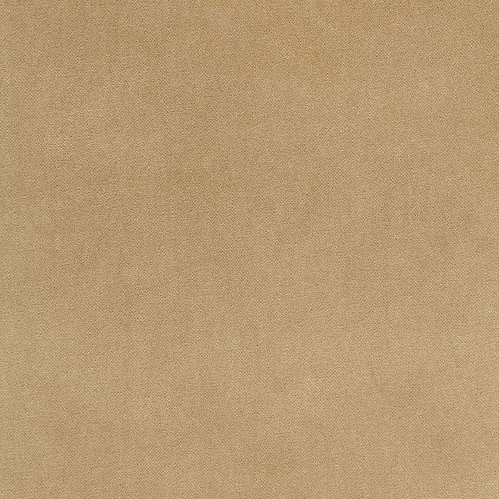 Bayeux Velvet Putty 65311 by Schumacher Fabric Schumacher Fabric Bayeux Velvet Putty 65311Fabric COTTON 66% ITALY </p><p>Repeat: H: , V: 57 - Fabric Carolina -