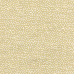 Pebble Sandstone 653551 by Waverly Fabric