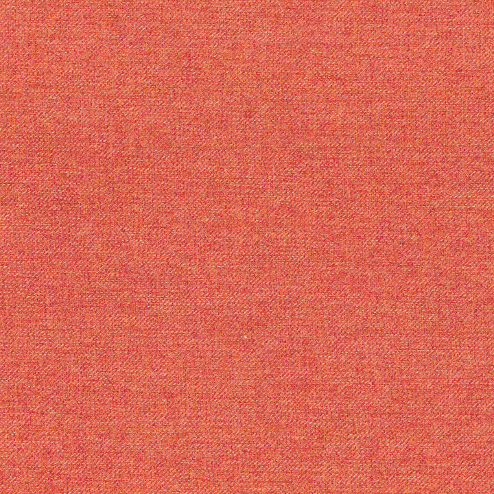 Romy Pimento Srd 653788 by Waverly Fabric FOLKLORICA 100% Polyester CHINA Wyzenbeek 51,000 Horizontal: 0.00" and Vertical: 0.00" 55" - Fabric Carolina -