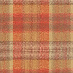 Tartan Terrain Cider 653880 by Waverly Fabric