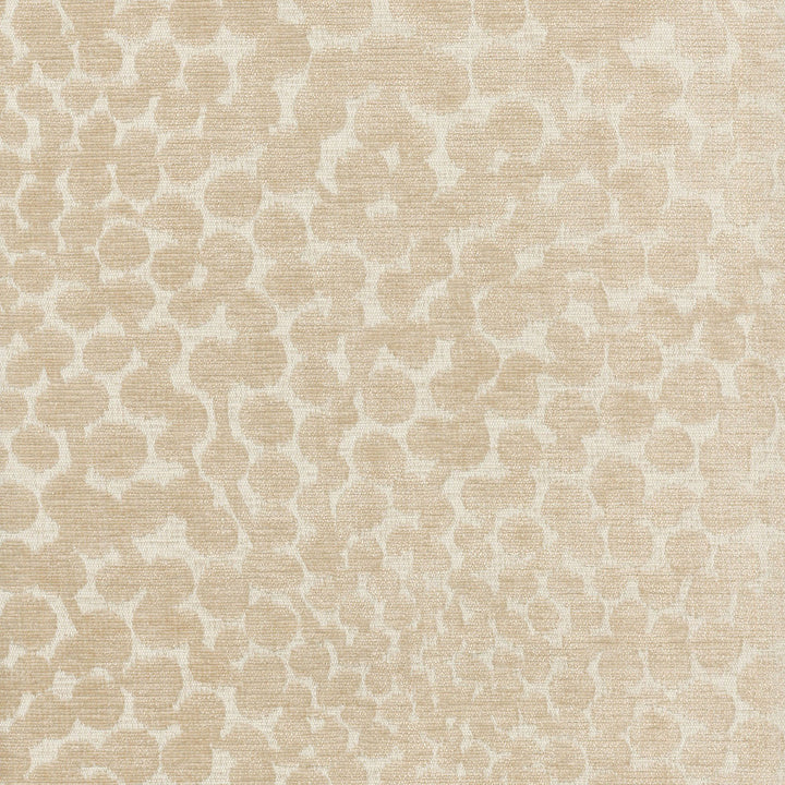Shadow Bloom Dune 653982 by Waverly Fabric PEAK SEASON 100% Polyester CHINA Wyzenbeek 45,000 Horizontal: 13.50" and Vertical: 13.50" 55" - Fabric Carolina -