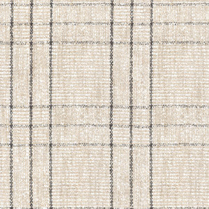 Borderline Linen 654322 by Waverly Fabric