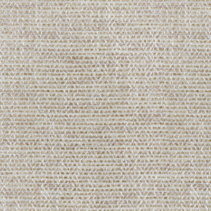 Painted Texture Shell 654504 by Waverly Fabric - 68% Polyester 32% Cotton INDIA 51000 Horizontal: 0 and Vertical: 0 54 - Fabric Carolina -