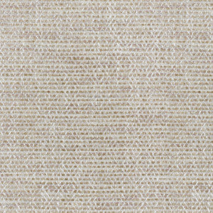 Painted Texture Shell 654504 by Waverly Fabric