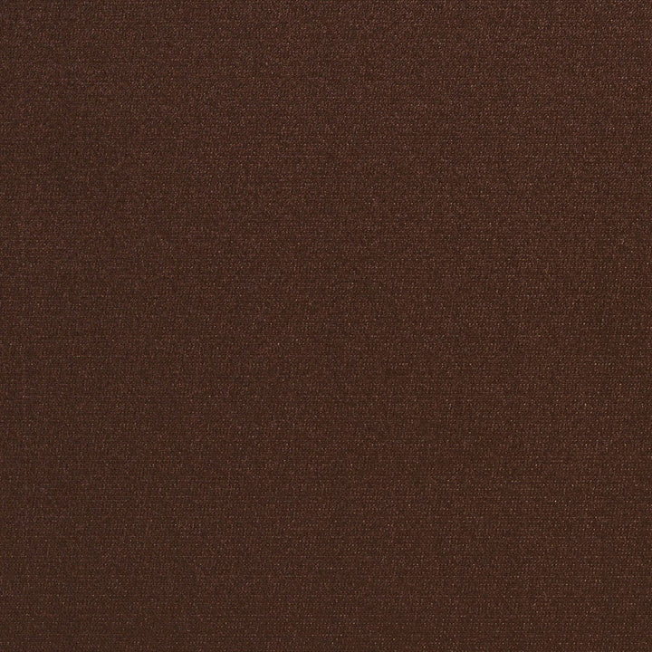 6558 Sable by Charlotte Fabric Dazzling Damasks 100% Woven Polyester Asia Exceeds 48,000 Wyzenbeek Rubs (Heavy Duty) No Repeat 54 Inches - Fabric Carolina -