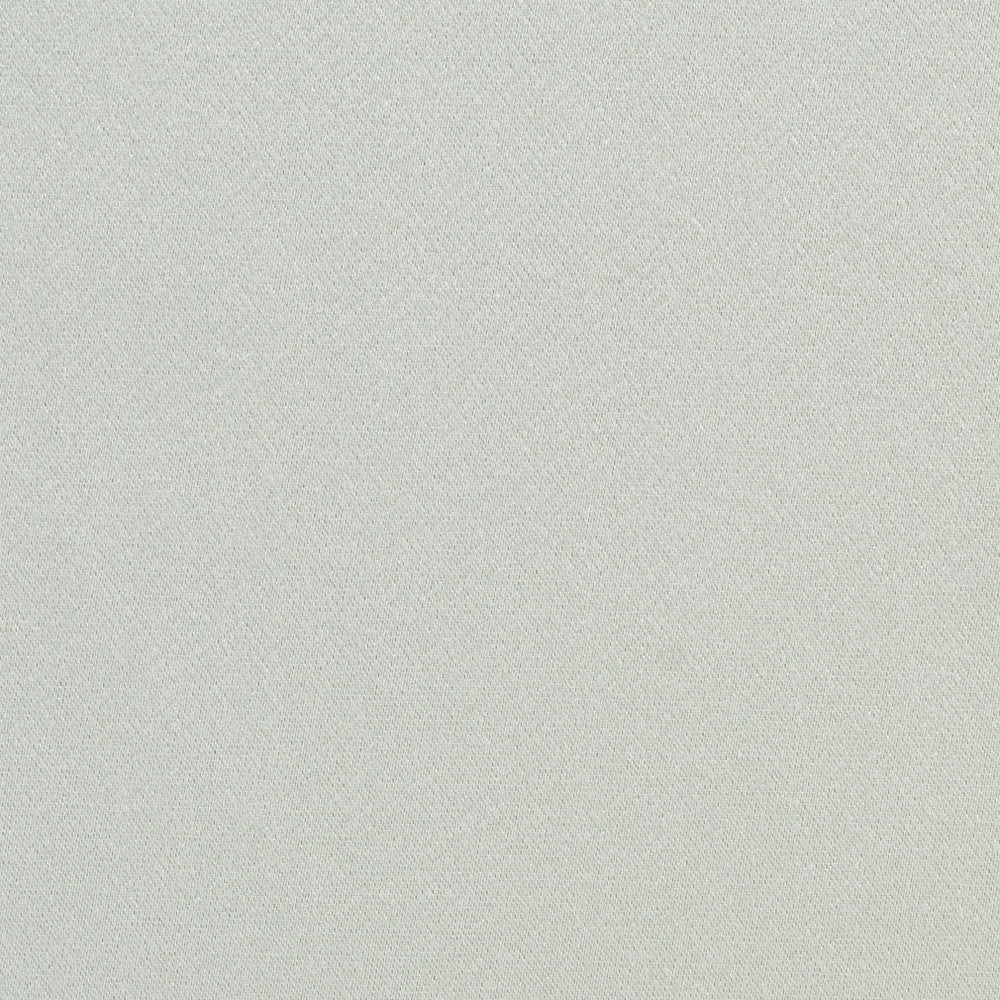 6561 Powder by Charlotte Fabric Dazzling Damasks 100% Woven Polyester Asia Exceeds 48,000 Wyzenbeek Rubs (Heavy Duty) No Repeat 54 Inches - Fabric Carolina -