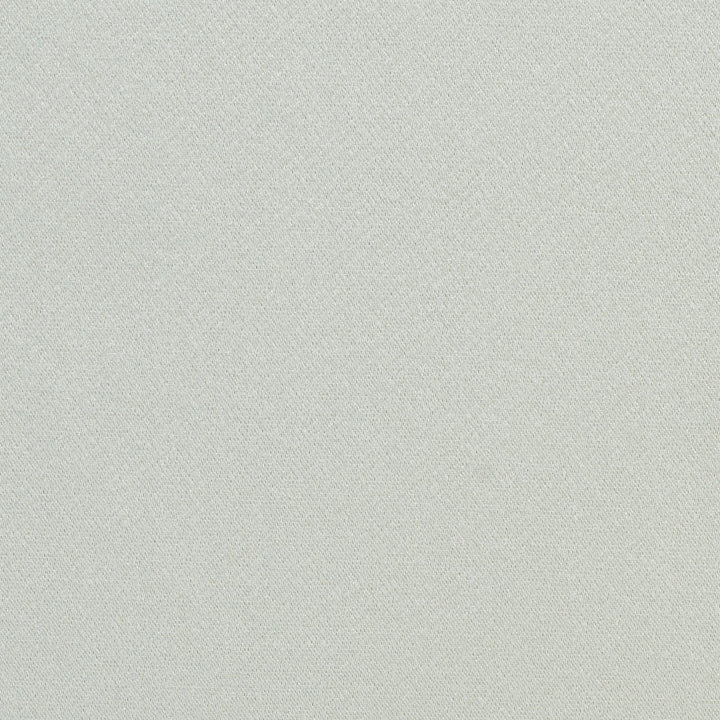6561 Powder by Charlotte Fabric Dazzling Damasks 100% Woven Polyester Asia Exceeds 48,000 Wyzenbeek Rubs (Heavy Duty) No Repeat 54 Inches - Fabric Carolina -