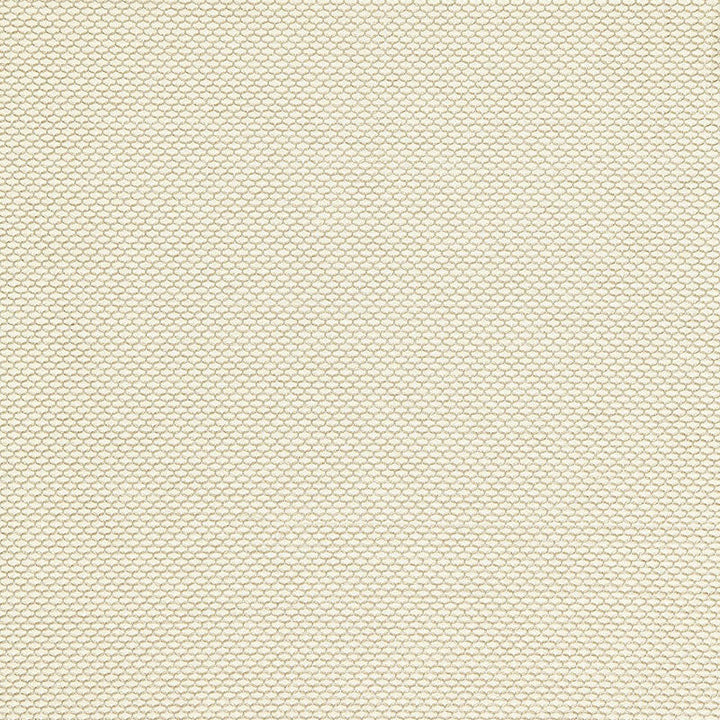 Medina Weave Ivory 65761 by Schumacher Designer Fabric CHROMA POLYESTER 100% INDIA WYZENBEEK 20,000 </p><p>Repeat: Horizontal: 1/4" (1CM) and Vertical: 1/4" (1CM) 54 - Swanky Fabrics -
