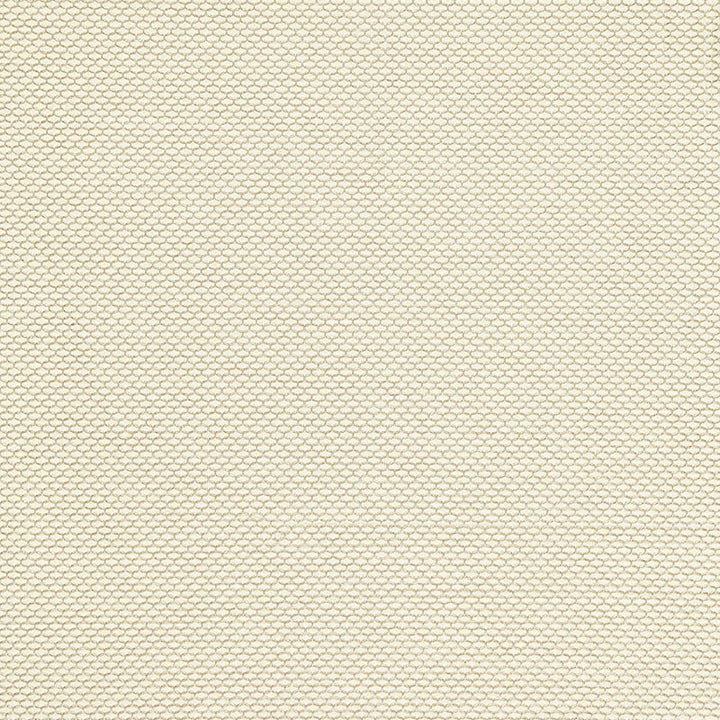 Medina Weave Ivory 65761 by Schumacher Fabric CHROMA POLYESTER 100% INDIA WYZENBEEK 20,000 </p><p>Repeat: Horizontal: 1/4" (1CM) and Vertical: 1/4" (1CM) 54 - Fabric Carolina -