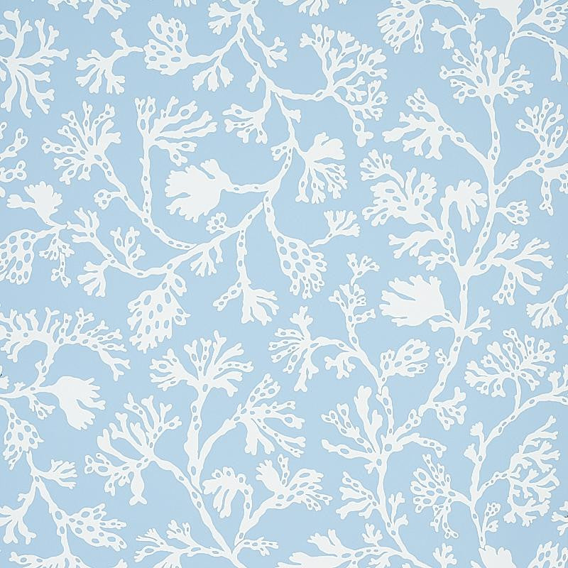 Anthoza Sky 5012130 by Schumacher Wallpaper Signature Schumacher 27.0" - Fabric Carolina -