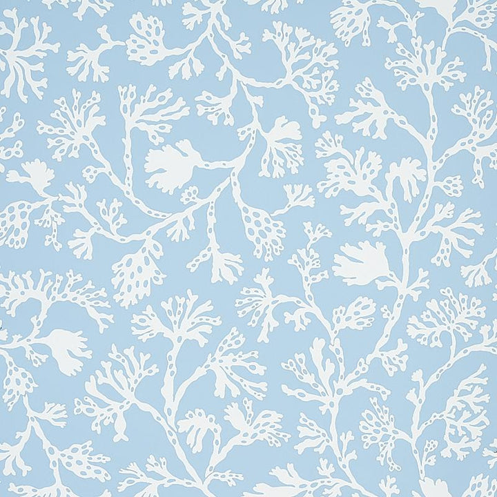 Anthoza Sky 5012130 by Schumacher Wallpaper Signature Schumacher 27.0" - Fabric Carolina -