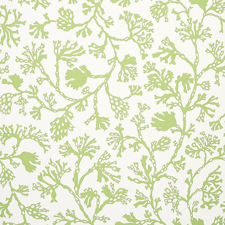 Anthoza Green 5012131 by Schumacher Wallpaper Signature Schumacher 27.0" - Fabric Carolina -