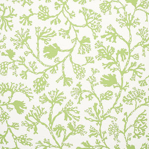 Anthoza Green 5012131 by Schumacher Wallpaper