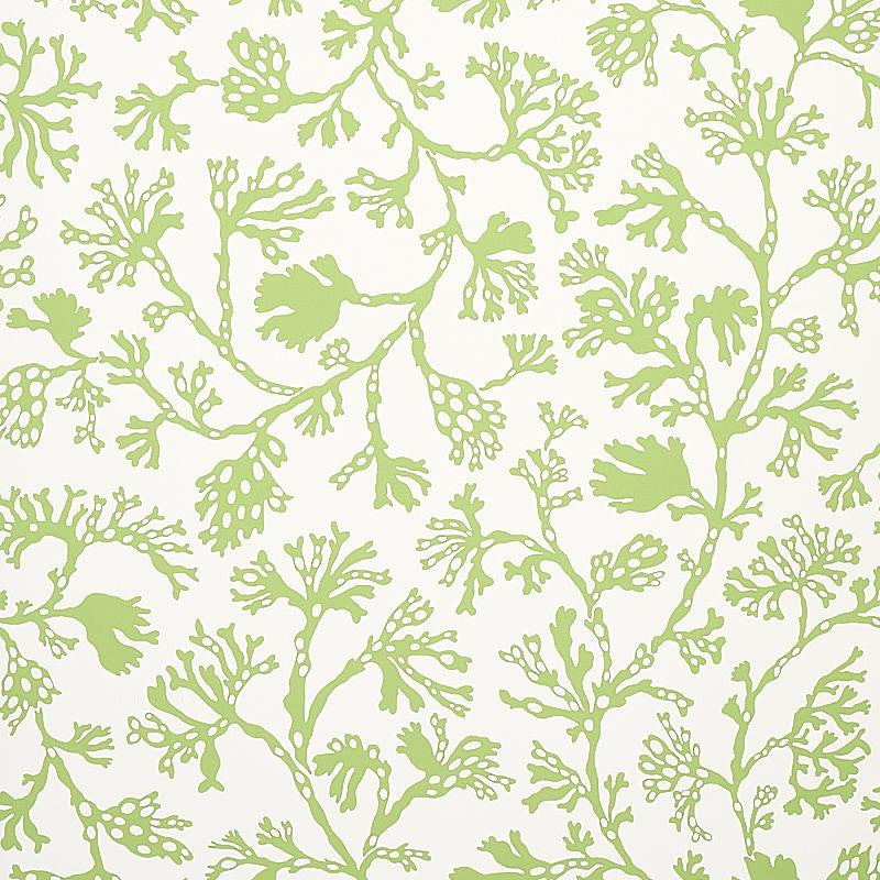 Anthoza Green 5012131 by Schumacher Designer Wallpaper Signature Schumacher 27.0" - Swanky Fabrics -