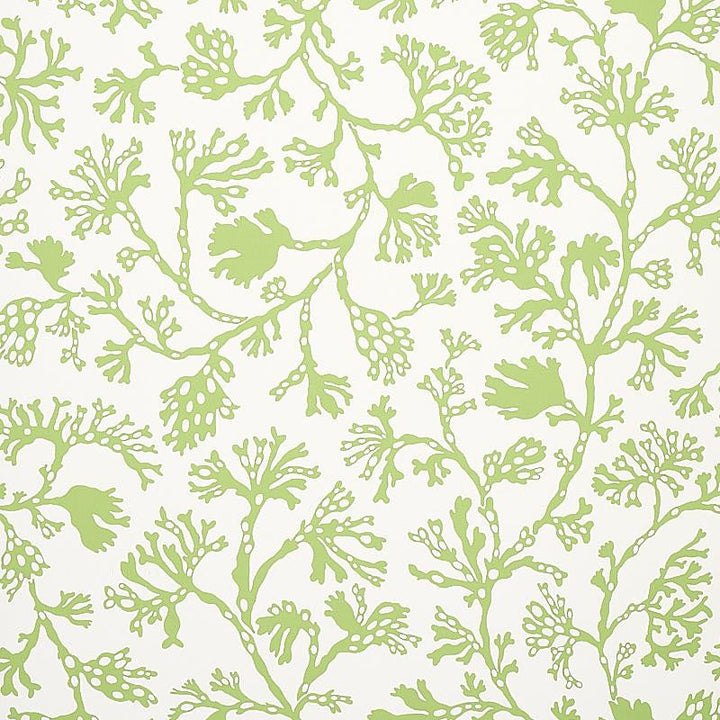 Anthoza Green 5012131 by Schumacher Designer Wallpaper Signature Schumacher 27.0" - Swanky Fabrics -