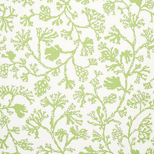 Anthoza Green 5012131 by Schumacher Wallpaper