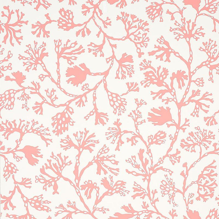 Anthoza Coral 5012132 by Schumacher Designer Wallpaper Signature Schumacher 27.0" - Swanky Fabrics -