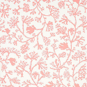 Anthoza Coral 5012132 by Schumacher Wallpaper