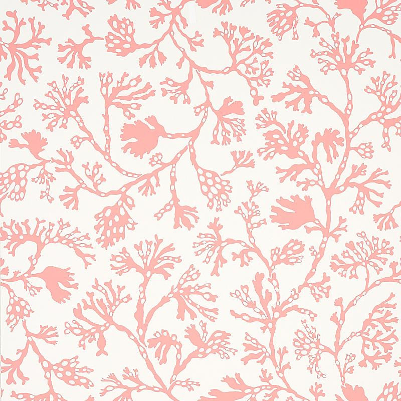 Anthoza Coral 5012132 by Schumacher Wallpaper Signature Schumacher 27.0" - Fabric Carolina -