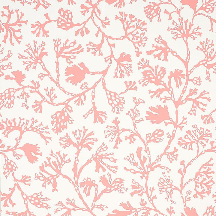 Anthoza Coral 5012132 by Schumacher Wallpaper Signature Schumacher 27.0" - Fabric Carolina -