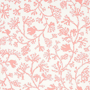 Anthoza Coral 5012132 by Schumacher Wallpaper