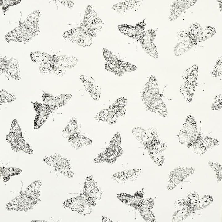 Burnell Butterfly Ivory 5011740 by Schumacher Wallpaper Misterioso 27.0" - Fabric Carolina -
