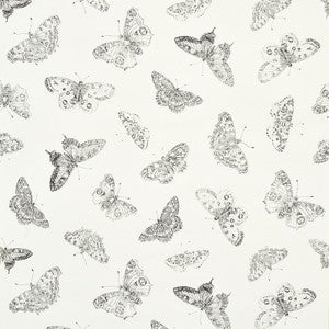 Burnell Butterfly Ivory 5011740 by Schumacher Wallpaper