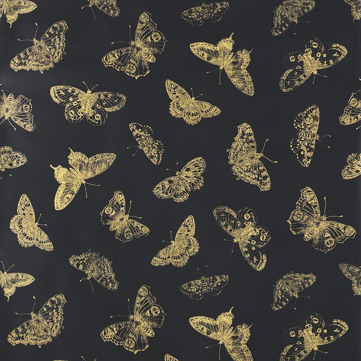 Burnell Butterfly Black 5011742 by Schumacher Designer Wallpaper Misterioso 27.0" - Swanky Fabrics -