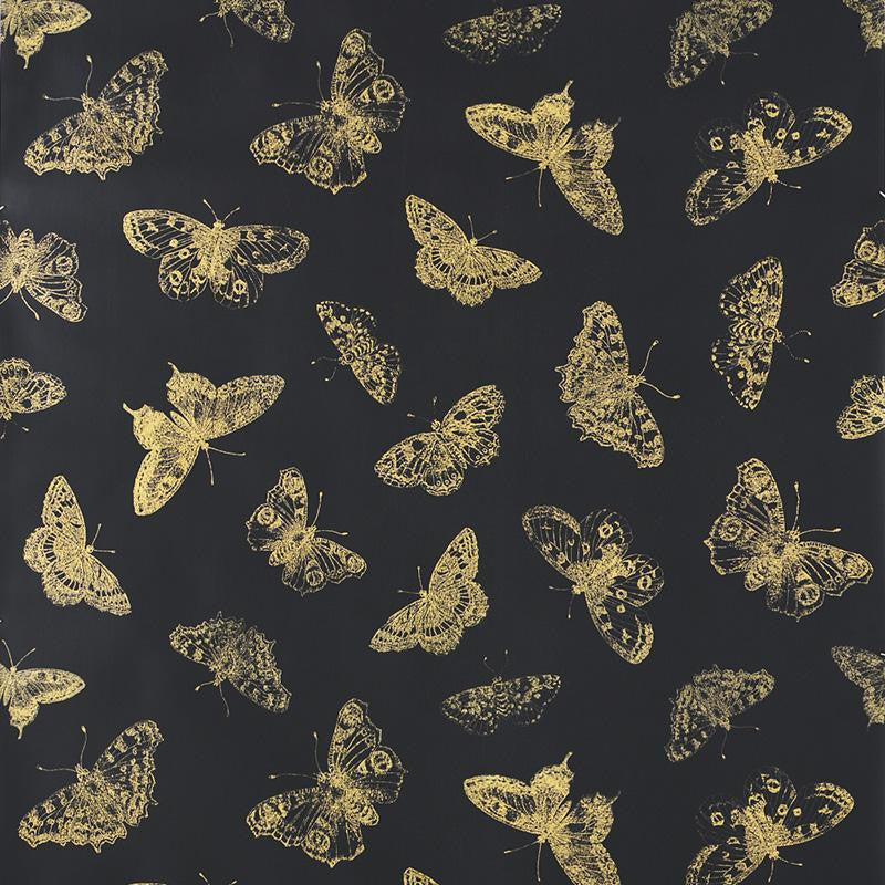 Burnell Butterfly Black 5011742 by Schumacher Wallpaper Misterioso 27.0" - Fabric Carolina -