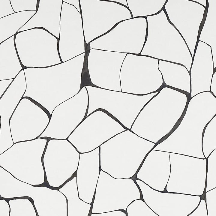 Filigree Black 5009704 by Schumacher Wallpaper New Wave: Black & White 54.0" - Fabric Carolina -