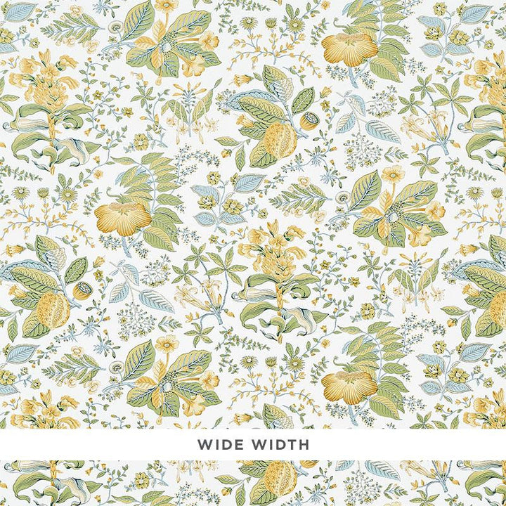 Pomegranate Botanical Citron 5010442 by Schumacher Wallpaper Schumacher Classics 18.0" - Fabric Carolina -