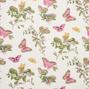 Baudin Butterfly Blush 5010690 by Schumacher Wallpaper