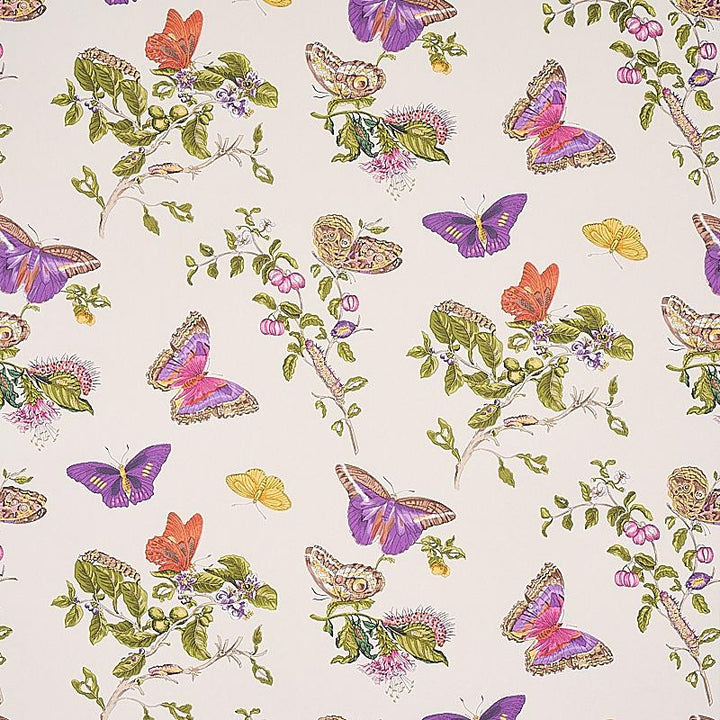 Baudin Butterfly Purple 5010692 by Schumacher Wallpaper Signature Schumacher 26.78" - Fabric Carolina -