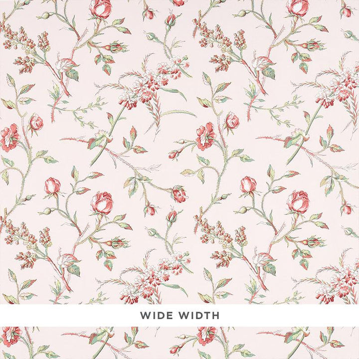 Beluze Blush 5011981 by Schumacher Wallpaper Schumacher Classics 18.0" - Fabric Carolina -