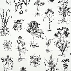 Cabot Botanical Large Ivory 5010640 by Schumacher Wallpaper